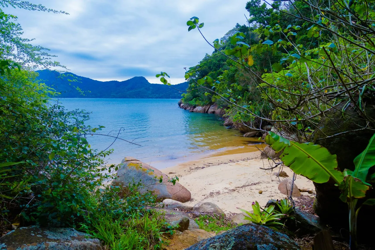 Praia com mata em Paraty, RJ